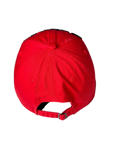Damn Distressed Dad Hat (Red)